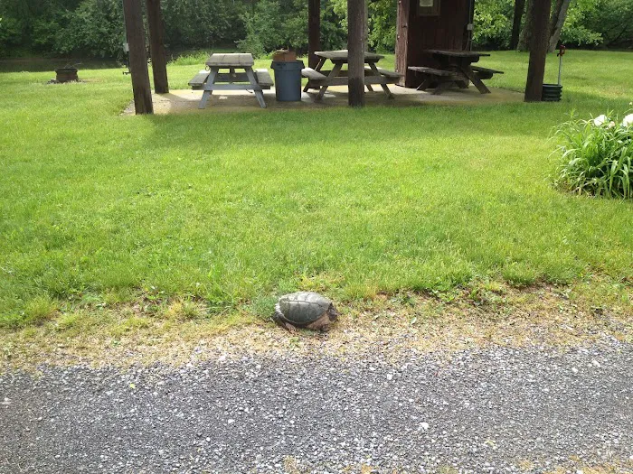 Irvin Swatara Acres Creekside RV & Camp Parks Picture 2