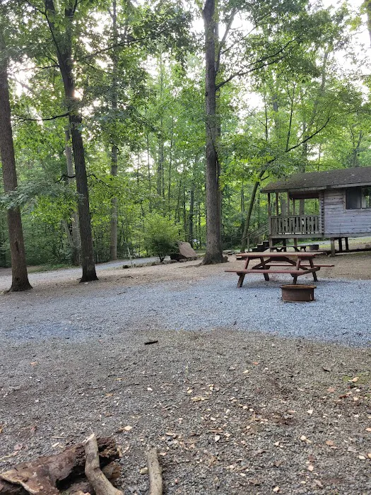 Pinch Pond Family Campground Picture 2
