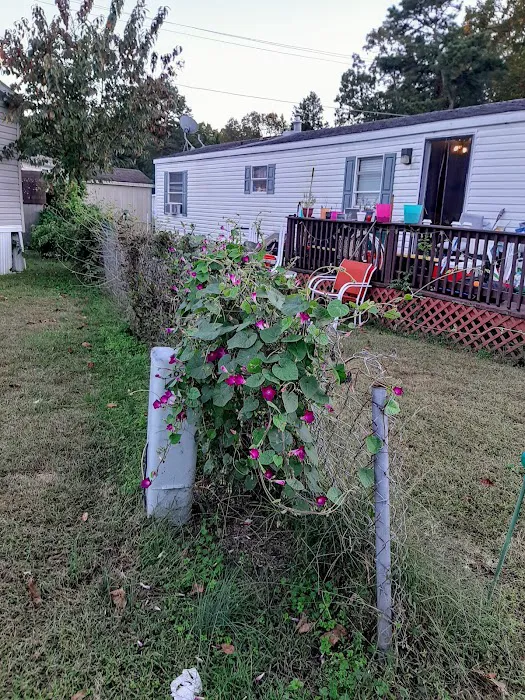 Delsea Woods Mobile Home Park Picture 4