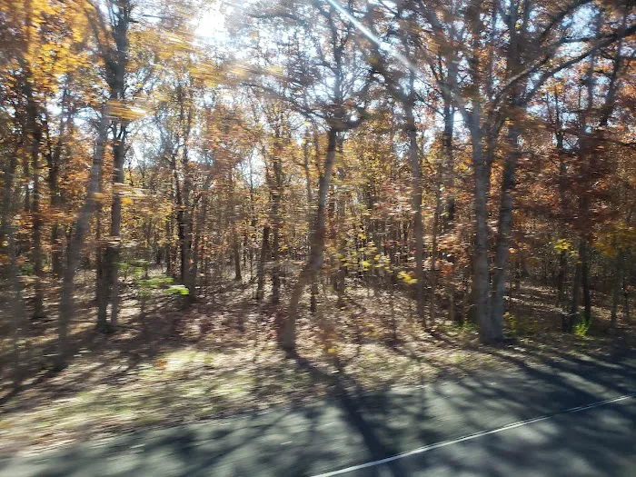 Delsea Woods Mobile Home Park Picture 8