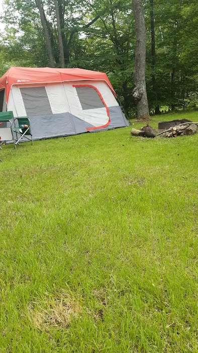 Black Bear Campground Picture 1
