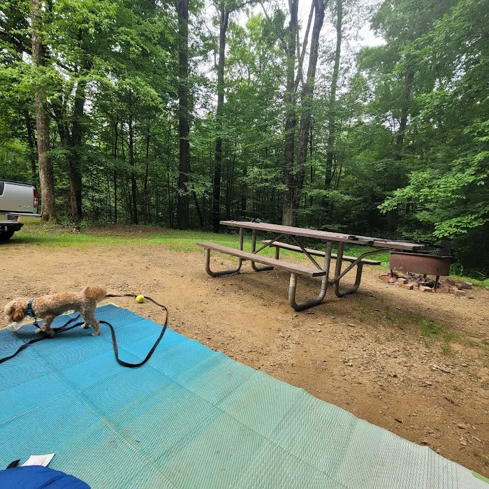 Red Bridge Campground Picture 3