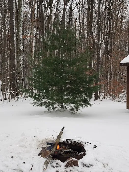 Woodhaven Campgrounds Picture 3