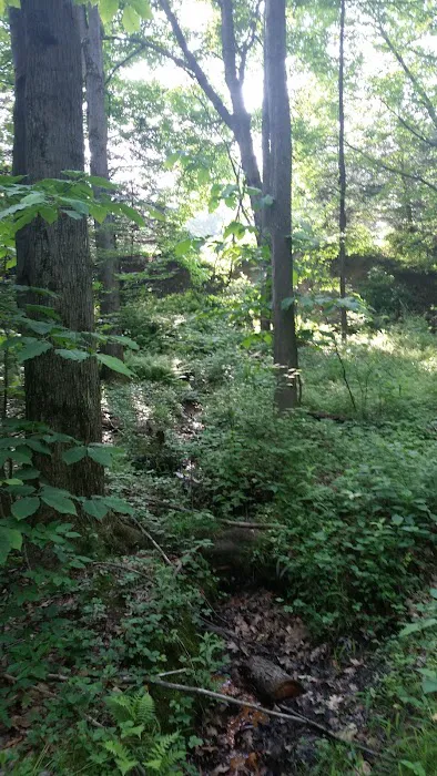 Oil Creek Family Campground Picture 10