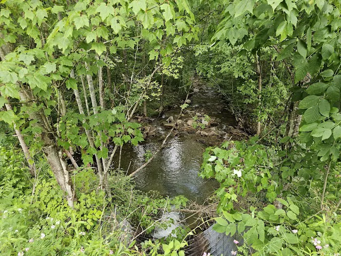 Dewdrop Campground Picture 9
