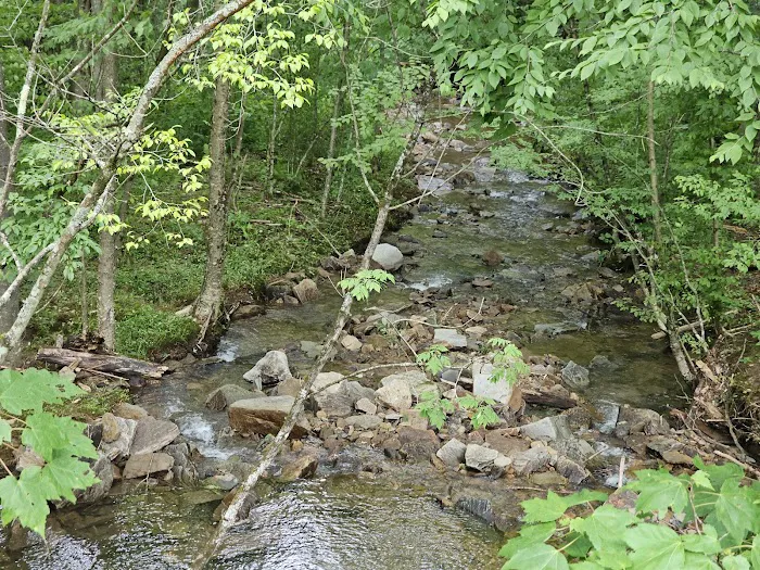 Dewdrop Campground Picture 5