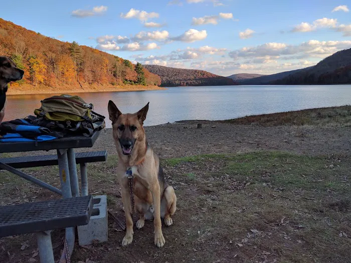 Morrison Campground Picture 8