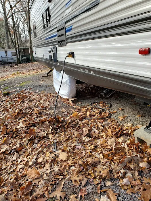 Gray Squirrel Campground Picture 10