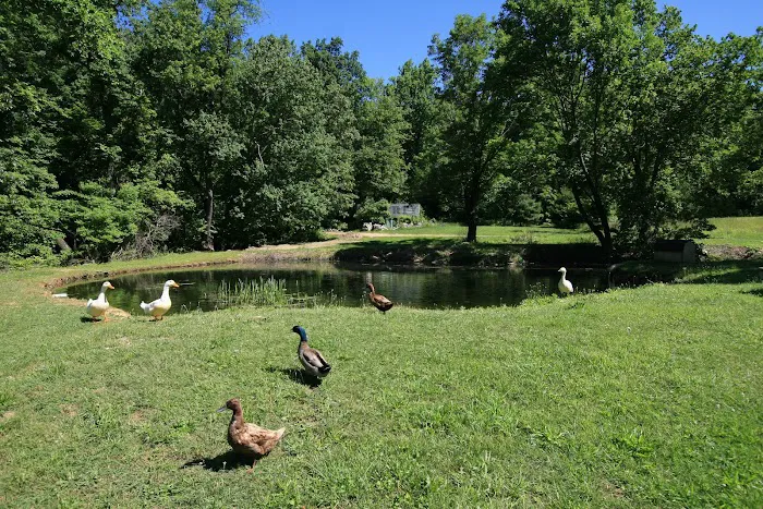Hidden Acres Campground Picture 4