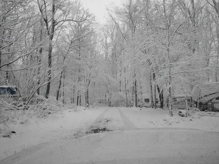 Birchview Farm Campgrounds Picture 2