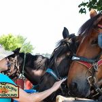 Dutch Cousin Campground