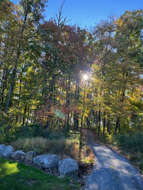 Sill's Family Campgrounds Picture 4