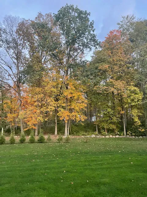 Sill's Family Campgrounds Picture 3