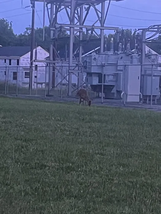 Salem Acres Mobile Home Park Picture 2
