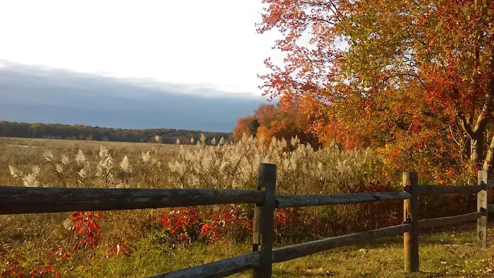 Country Meadows Rents & Sales Picture 6