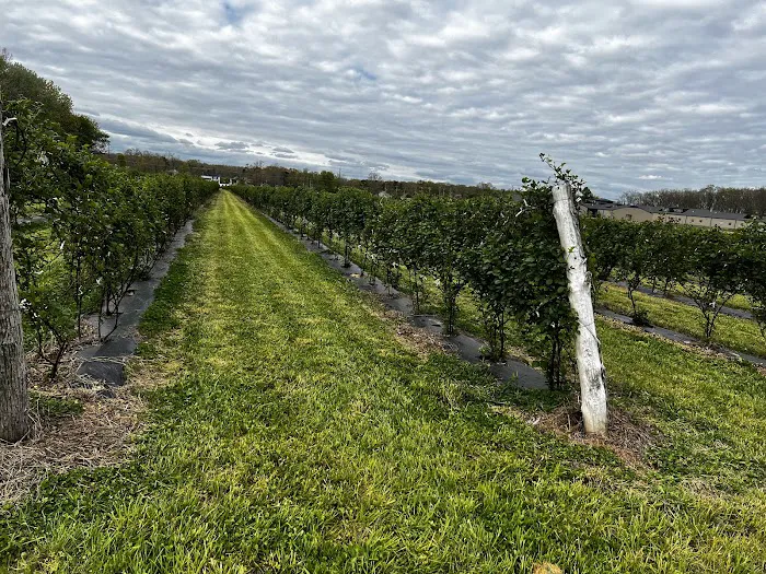 Berryman's Branch Picture 9