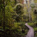 Hospitality Creek Campground