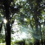 North River Campsite (SRTA)