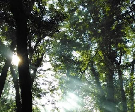 North River Campsite (SRTA)