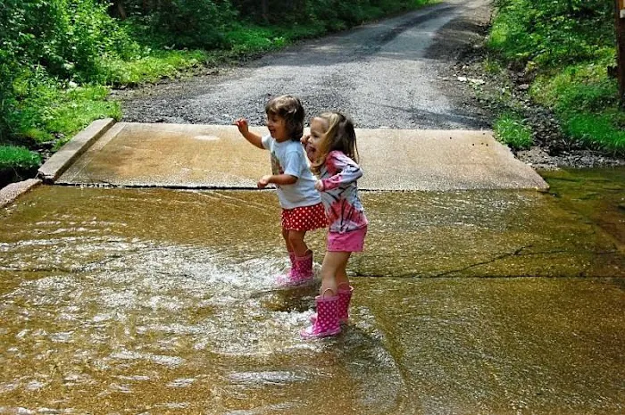 Shady Brook Campground Picture 5