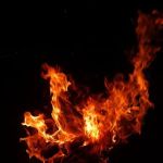 Shady Brook Campground