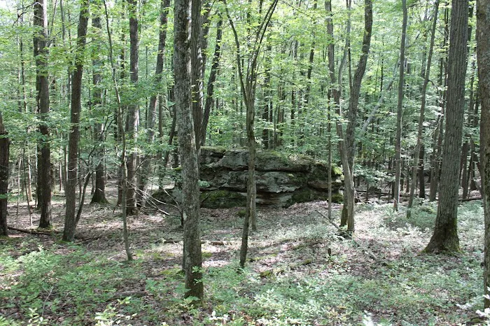 Tracy Ridge Campground Picture 1