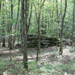 Tracy Ridge Campground