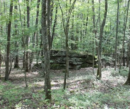 Tracy Ridge Campground