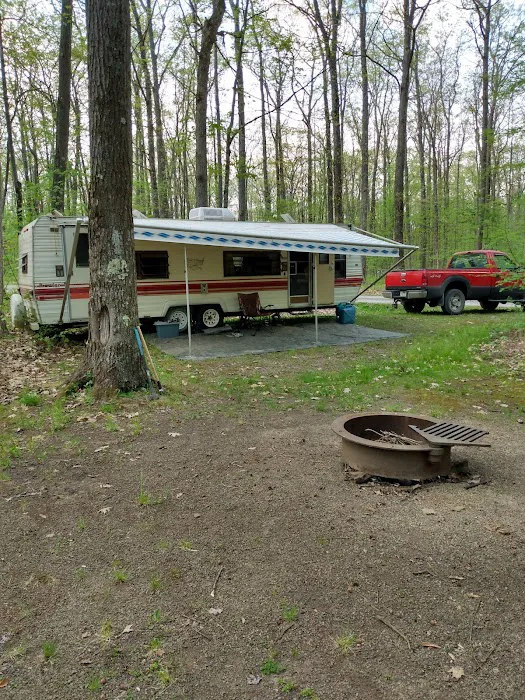 Tracy Ridge Campground Picture 5