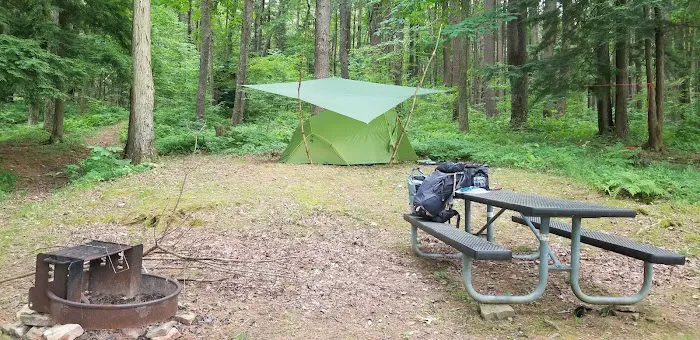 Pine Grove Campground Picture 10