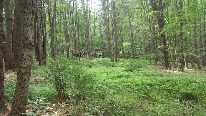 Pine Grove Campground Picture 5