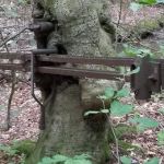 Pine Grove Campground