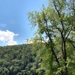 Riverview Campground