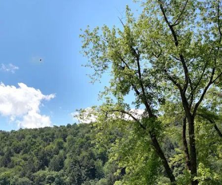 Riverview Campground