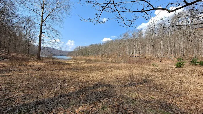 Handsome Lake Campground Picture 9