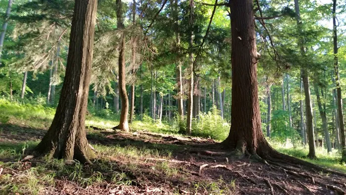 Handsome Lake Campground Picture 4
