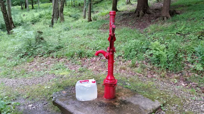Handsome Lake Campground Picture 3