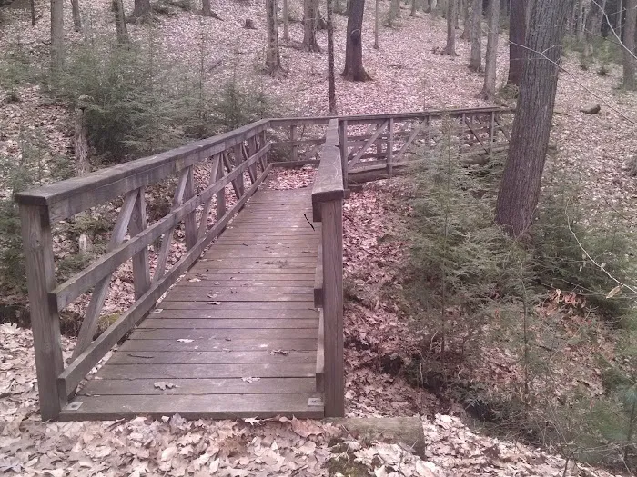 Handsome Lake Campground Picture 7