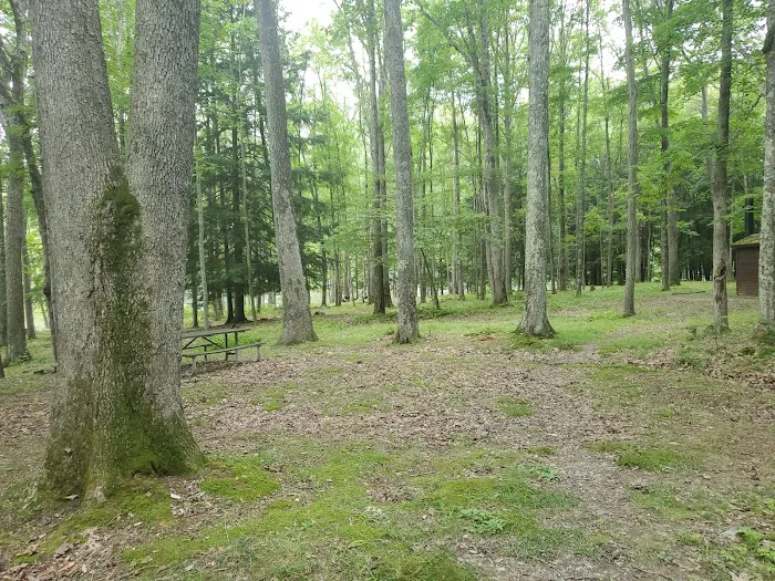 Hooks Brook Campground Picture 1