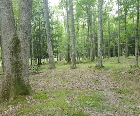 Hooks Brook Campground
