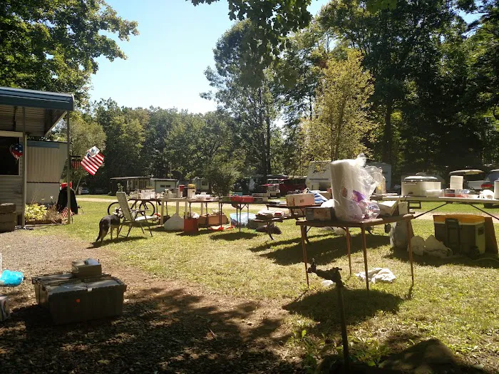 Camp Wilhelm Campground Picture 3
