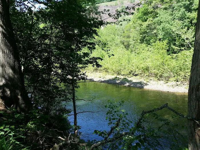Haleeka Campground Picture 2