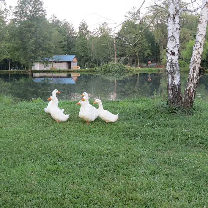 Hidden Creek Campground Picture 9