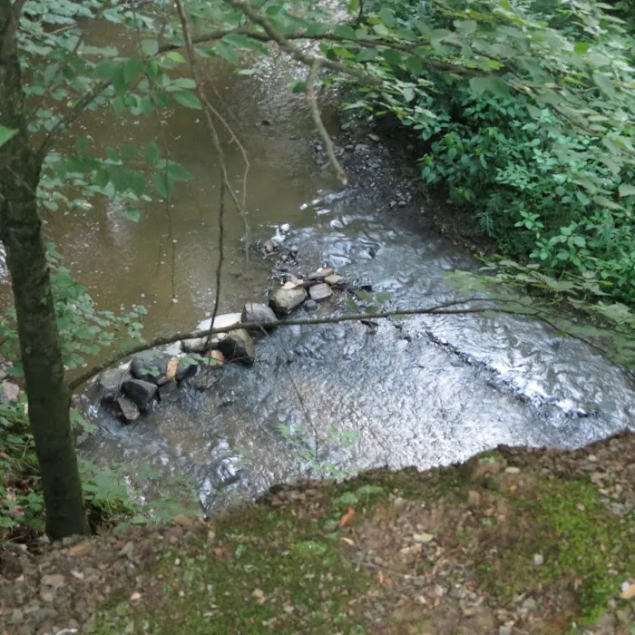 Hidden Creek Campground Picture 8