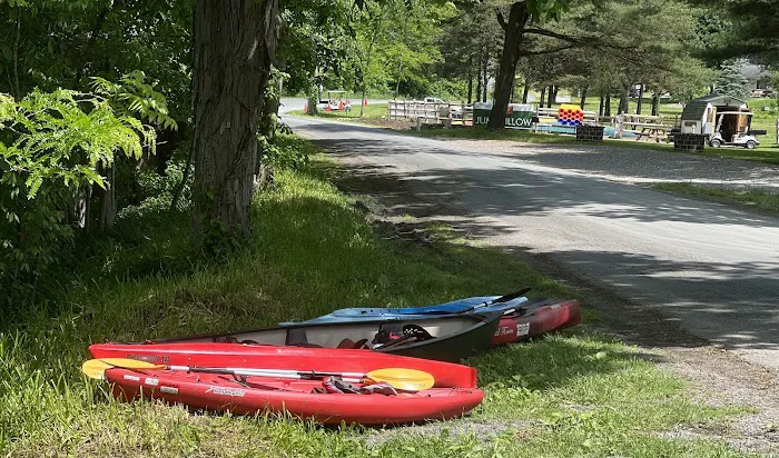 Little Mexico Campground Picture 1