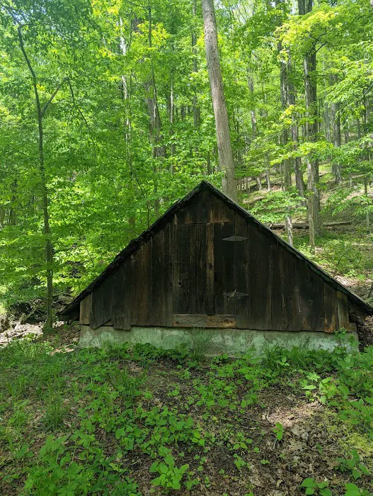 Tiadaghton Campground Picture 4