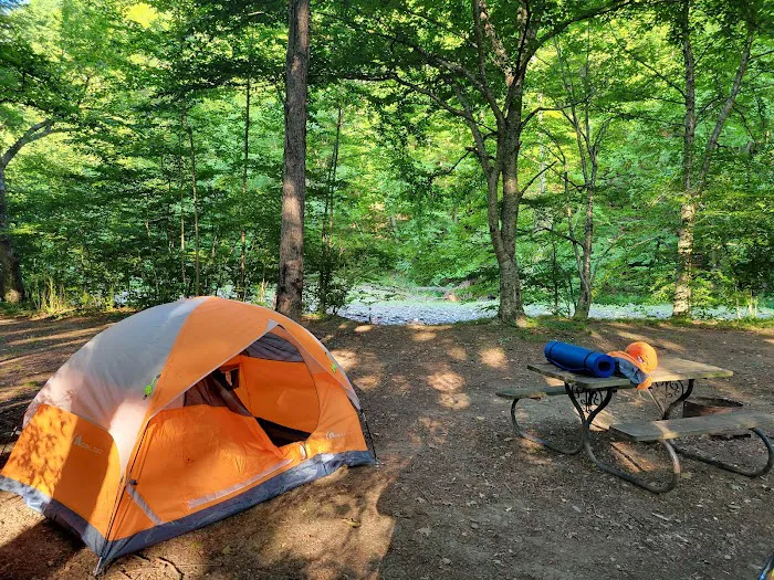 Twin Streams Campground Picture 8