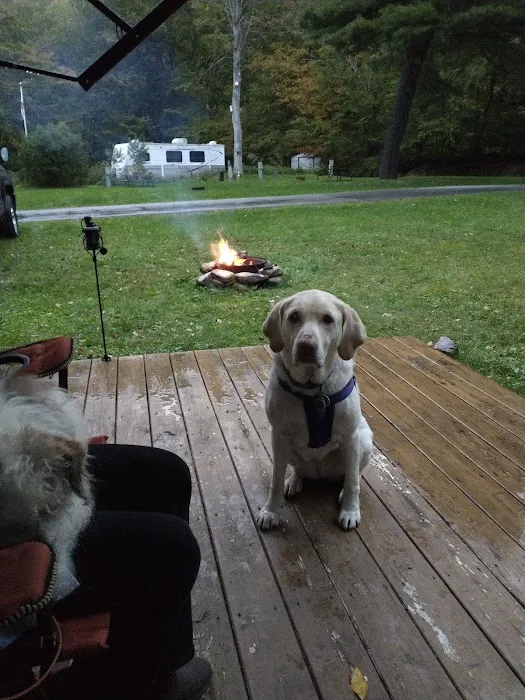 Twin Streams Campground Picture 6