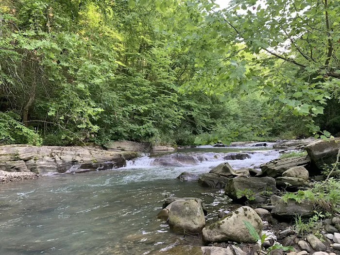 Twin Streams Campground Picture 3