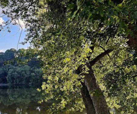 Riverview Campground